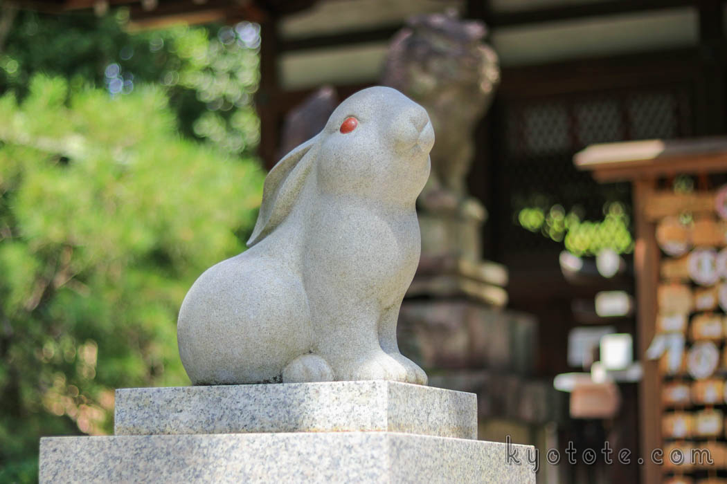 京都の岡崎神社のうさぎ