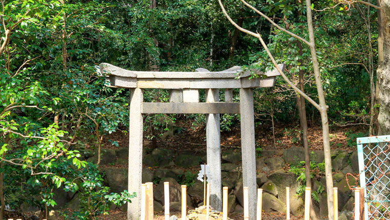 鳥居 caption.jpg