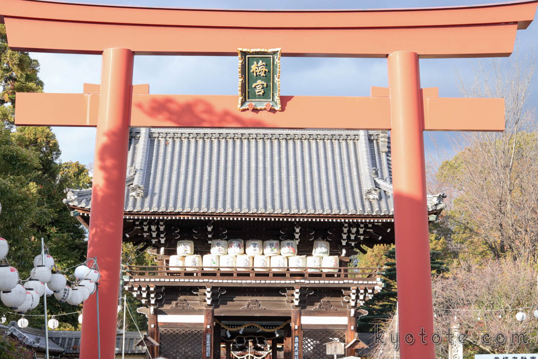 安産祈願で有名な梅宮大社