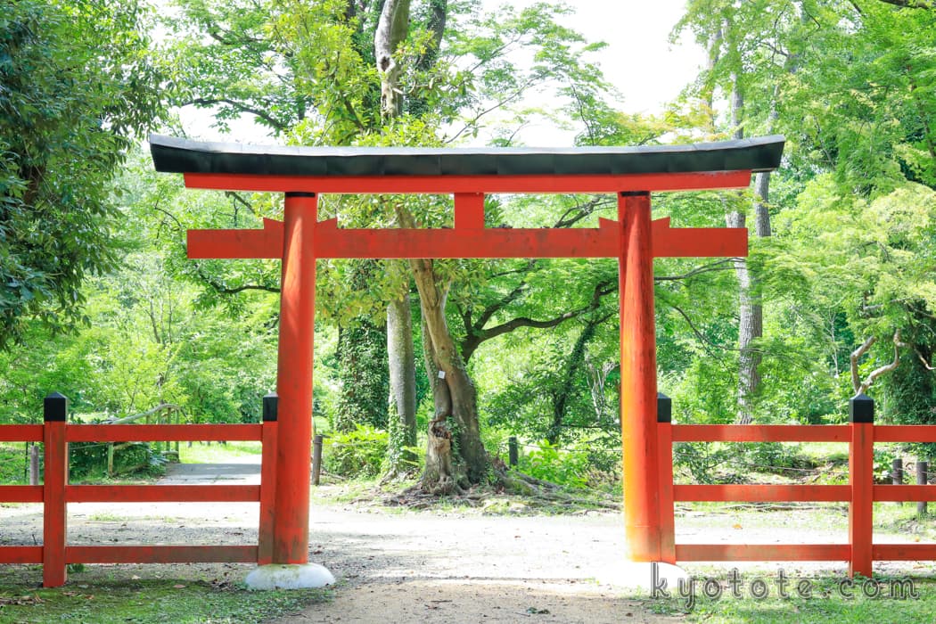 京都府立植物園の半木神社